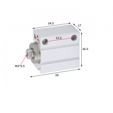 Xi lanh mini free mount CDUJB12-5D